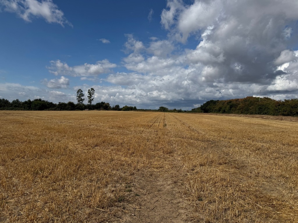 Lot: 61 - APPROXIMATELY FOUR AND A HALF ACRES - View of the land 1